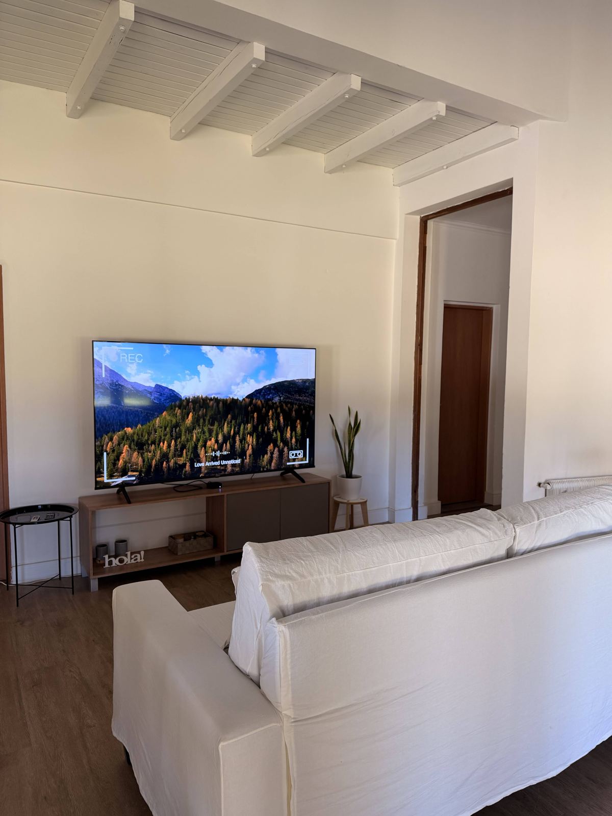 Living con TV